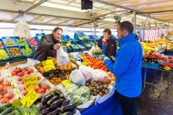 Mercato di Zwolle, la città del nord-est dell'Olanda - © Semmick Photo / Shutterstock.com 