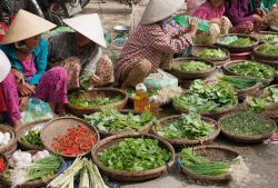 Tipico mercato di strada del Vietnam: ci troviamo in una strada di Hoi An Vietnam - © Steve Lovegrove / Shutterstock.com