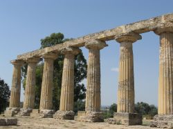 Metaponto, Basilicata: le rovine delle Tavole Palatine 