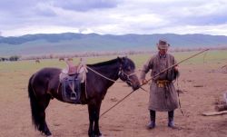 Mongolia uomo con cavallo - Foto di Giulio Badini / I Viaggi di Maurizio Levi