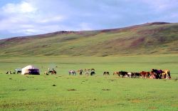 Mongolia yurtagher e cavalli - Foto di Giulio Badini / I Viaggi di Maurizio Levi