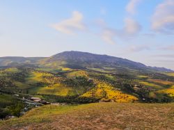 Montagne del medio Atlante, regione di  Ifrane ...