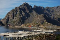 Monte Vagakallen Norvegia Lofoten Henningsvaer essicatori stoccafissi