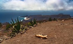 Monte Verde a São Vicente (Capo Verde) il panorama verso Calhau - © Frank Bach / Shutterstock.com