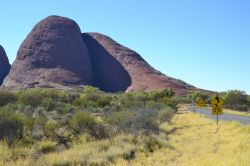 I Monti Olgas, che in aboragino sono chiamati Kata Tjuta (le molte teste): si trovano nel Red Centre, nello stato del Nortnern Territory in Australia