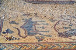 Un particolare di un frammento di Mosaico presso il Monte Nebo in Giordania