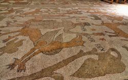 Mosaico pavimentale Cattedrale di Otranto Albero della Vita Puglia
