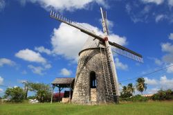 Mulino a vento a Marie Gallante, l'isola caraibica che fa parte del territorio di Guadalupa, nelle Antille - © Olga S. Andreeva / Shutterstock.com