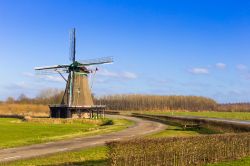 Mulino a vento alla periferia di Zwolle, Paesi Bassi - © Semmick Photo / Shutterstock.com