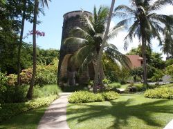 Un Mulino da zucchero sull'isola Barbados. Sfruttando i venti alisei furono costruiti moltissimi mulini a vento su Barbados, per macinare le canne da zucchero  - Fonte: Barbados Tourism ...