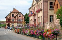 Municipio di Riquewihr, Alsazia - Nel centro storico della città si trova il palazzo municipale di Riquewihr racchiuso fra le suggestive case a graticcio tipiche di alcuni paesi dell'Alsazia. ...