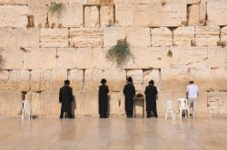Il Muro del Pianto (o Muro Occidentale) è tra i luoghi simbolo di Gerusalemme. Qui i fedeli, soprattutto ebrei, si riuniscono per pregare e inseriscono tra le pietre bigliettini di carta ...