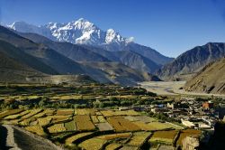 il Mustang  è una regione solitaria del Nepal centro settentrionale, rimasta isolata per secoli come regno autonomo,  tra vallate inserite ai piedi delle più spettacolari ...
