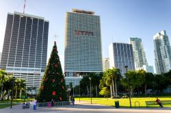 Natale a Miami: le vacanze di Natale in Florida si trascorrono sulla spiaggia con temperature estive. Molti ricchi pensionati nordamericani, infatti, durante l'inverno si trasferiscono in ...