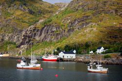 Navi di pescatori nel porto di Moskenes alle isole Lofoten in Norvegia