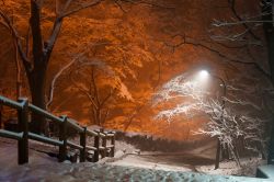 Nevicata a Seoul nel Parco di Namsan Tower. Il clima di Seul in inverno è particolarmente freddo, e risente della vicinanza della Korea alla Cina continentale ed alla siberia. L'anticiclone ...