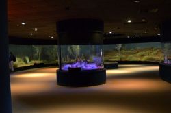 La Nocturnal House del Desert Park di Alice Springs ...