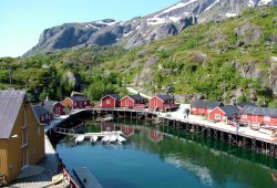 Nusfjord isole Lofoten,  Norvegia - Foto ...