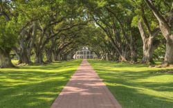 Oak Alley Plantation, New Olreans - Fondata dai Roman, una famiglia francese di coloni che nel 1840 fecero edificare anche la grandiosa casa patronale, Oak Alley Plantation è una grande ...