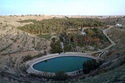 Oasi di Nefta, vicino a Tozeur in Tunisia. E' una delle cosiddette oasi di montagna al confine son il Sahara tunisino - © Jakez / Shutterstock.com