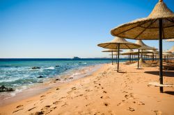 Ombrelloni sull spiaggia di Sharm el Sheikh in Egitto - © Eric Gevaert / Shutterstock.com