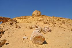 Osso di balena fossile: ci troviamo a Wadi al-Hitan in Egitto - In collaborazione con I Viaggi di Maurizio Levi