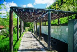 Padiglione Boschi Decidui Latifoglie Giardini ...