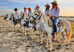 Paesaggio della Camargue e gruppo delle ragazze di Donnavventura in escursione con i famosi cavalli del sud della Francia - © DONNAVVENTURA® 2015 - Tutti i diritti riservati - All rights ...