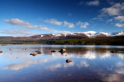 Paesaggio del Loch Morlich, lo si incontra camminando sulla East Highland Way, uno dei sentieri più famosi della Scozia  - © johnbraid / Shutterstock.com