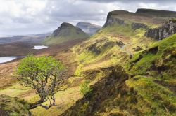 Spettacolare paesaggio sull'isola di Skye in Scozia. Fa parte delle Ebridi interni e con la sua vicinanza alla costa le sue vallate possono essere assimilate a quelle delle Higlands scozzesi ...
