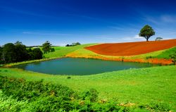 Paesaggio rurale "downunder": le colorate campagne della Tasmania, lo "stato-isola" dell'Australia - © kwest / Shutterstock.com