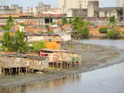 Palafitte a Recife durante la bassa marea sulle coste del Pernambuco, in Brasile - © Vitoriano Junior / Shutterstock.com