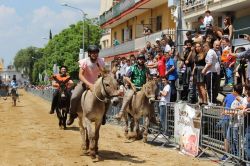 Il Palio del Casale a Camposano in Campania - © Palio del Casale