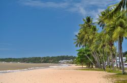 Palme e oceano a Joao Pessoa incorniciano una ...