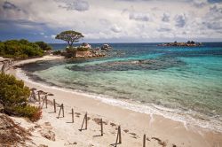 Palombaggia la spiaggia di Porto Vecchio in Corsica: ...