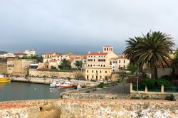 Panorama di Alghero, nel nord-ovest della Sardegna, lungo la Riviera del Corallo. Dal porto turistico, incorniciato dagli antichi bastioni cittadini, si può partire per le vicine Grotte ...