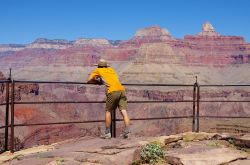 Panorama Plateau Point: un uomo contempla il panorama sconfinato del Grand Canyon, che si trova in Arizona, negli  Stati Uniti America - © Tom Grundy / Shutterstock.com