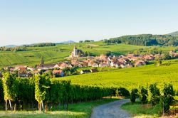 Paesaggio bucolico del villaggio di Hunawihr, lungo la strada dei vini in Alsazia - © Richard Semik / iStockphoto LP.