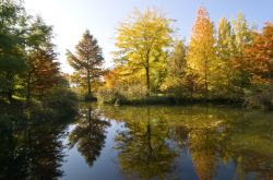 Panoramica autunnale Giardini di Sissi Merano - cortesia foto www.trauttmansdorff.it