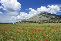 Panorama di Trebinje, Bosnia Erzegovina - Tappa obbligatoria per chi si reca in Bosnia alla scoperta delle città e dei luoghi più suggestivi di questo paese, Trebinje si trova ...