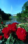 Parc Floral Orléans, ci troviamo nella regione centro della Francia - foto © J. Danet