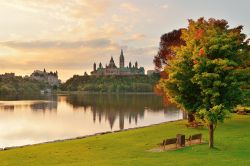A Ottawa, capitale del Canada nella provincia dell'Ontario, gli spazi verdi e i giardini pubblici sono numerosi. Nell'immagine il fiume Ottawa, un prato curato, i colori dell'autunno ...