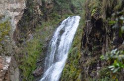 Particolare del Salto de Aguas Blancas,  le cascate di Constanza, Repubblica Dominicana