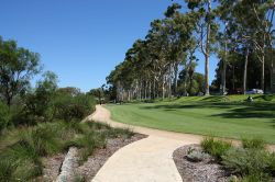 Passeggiata in un parco di Perth, Western Australia. 45041251