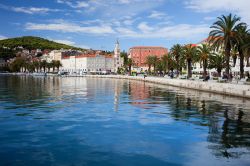 Centro storico di Spalato, Dalmazia, Croazia: la passeggiata del lungomare, orlata di palme, è un bel punto di incontro nelle giornate di sole e uno scenario romantico nelle sere d'estate ...