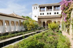 Patio de la Acequia, presso i Giardini Generalife, nel complesso del Palazzo dell'Alhambra a Granada (Andalusia), in Spagna - © ale_rizzo / Shutterstock.com