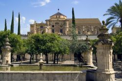 Patio de los Naranjos: siamo nella celebre Mezquita di Cordova, la ex moschea ora Cattedrale della bella città dell'Andalusia, in Spagna  - © Matt Trommer / Shutterstock.com ...