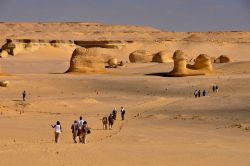Il Percorso a piedi dentro al Parco Nazionale di Wadi al-Hitan, la valle delle Balene Egitto - In collaborazione con I Viaggi di Maurizio Levi