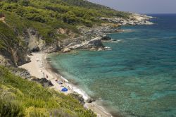 Perivoliou, la bella spiaggia di Skopelos alle Sporadi, mare Egeo, Grecia - © Yiorgos GR / Shutterstock.com