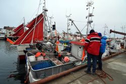 Pescatori a Henningsvaer Lofoten Norvegia